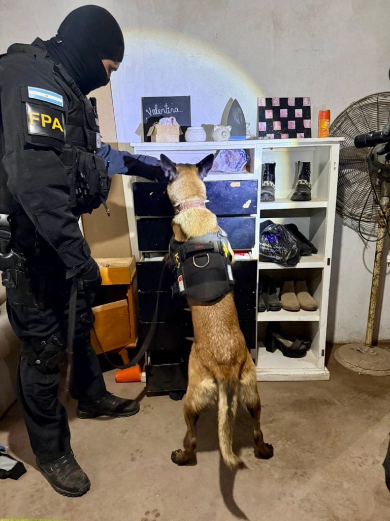 Tránsito: un hombre detenido por la FPA por delivery de cocaína