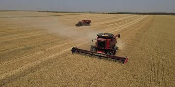 ACELERAN. Las ventas de maquinaria agrícola vienen creciendo sin pausa desde el año pasado. (Gentileza Cafma)