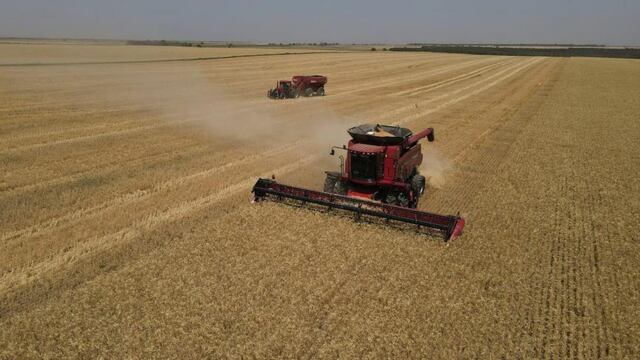 ACELERAN. Las ventas de maquinaria agrícola vienen creciendo sin pausa desde el año pasado. (Gentileza Cafma)