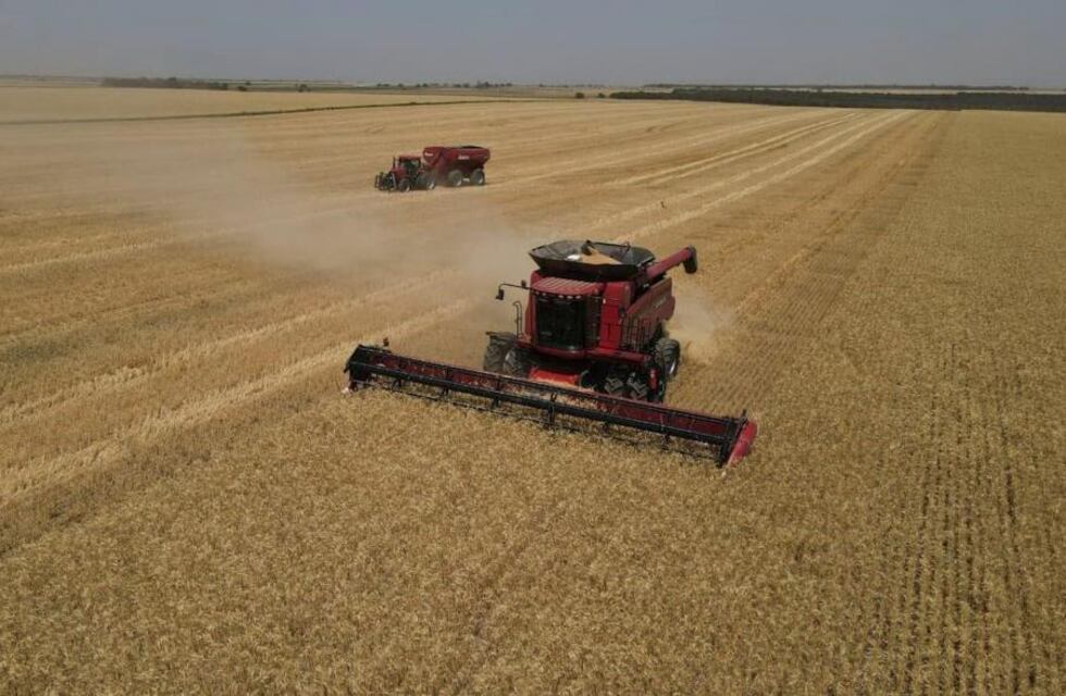 Información del mercado agrícola mundial y sus variables de ajuste