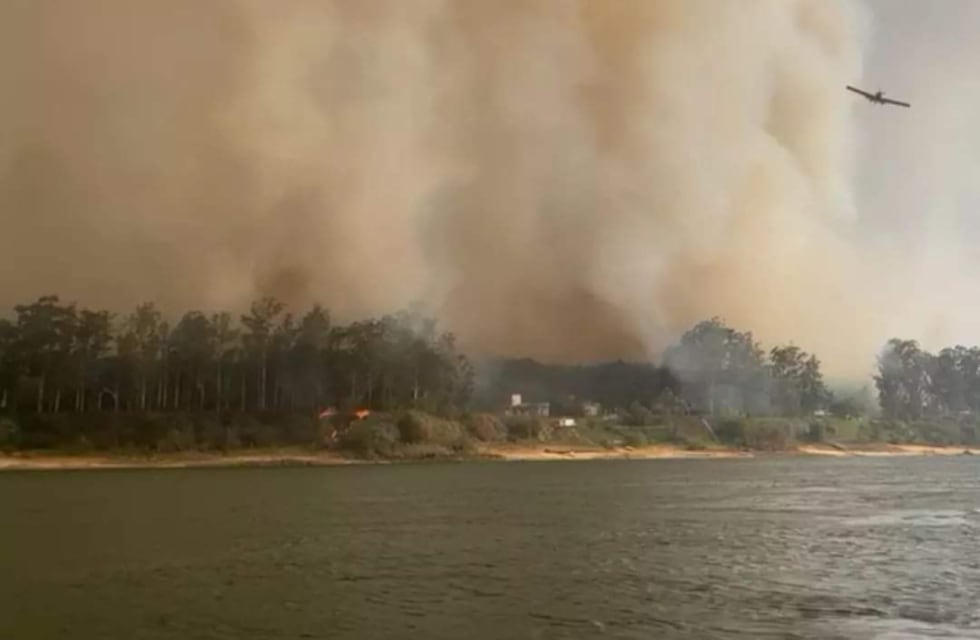 Incendios en Corrientes: ya se perdieron 520 mil hectáreas y distintas provincias ofrecen su ayuda