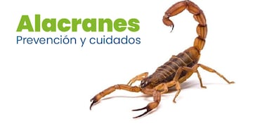 Alacranes