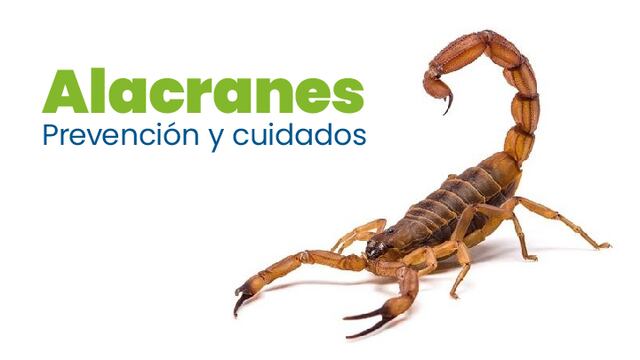 Alacranes