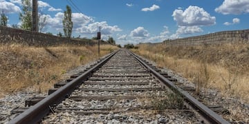 Un maquinista de Chaco detuvo su tren y salvó a un perro atado en las vías.