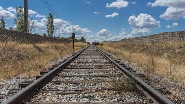 Un maquinista de Chaco detuvo su tren y salvó a un perro atado en las vías.