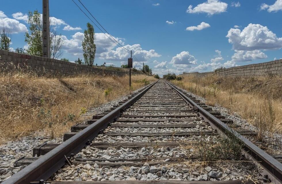 Un maquinista de Chaco detuvo su tren mientras viajaba y salvó a un perro atado en las vías