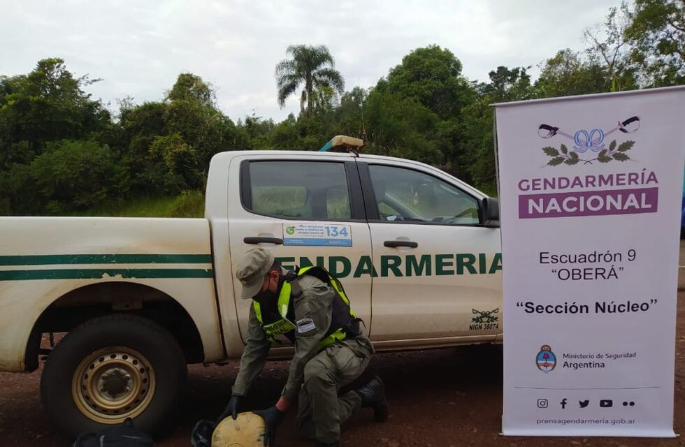 Secuestran marihuana en Aristóbulo del Valle
