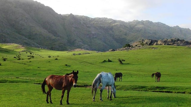 Una pradera entre las Sierras Grandes, en Villa Alpina (Calamuchita).