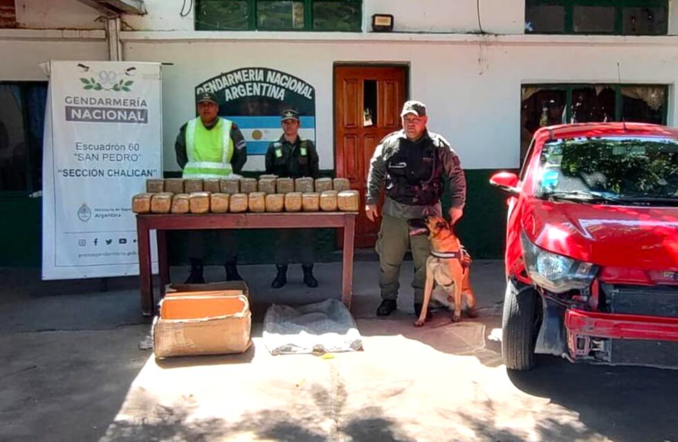 Los perros de la Gendarmería son infalibles: hallan kilos de drogas en Jujuy
