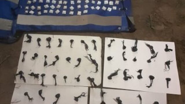 Las "bochitas" y las pastillas fueron secuestradas por personal policial.