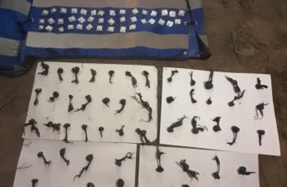 Los sorprendió la Policía y abandonaron 60 envoltorios de marihuana y 40 pastillas de rivotril