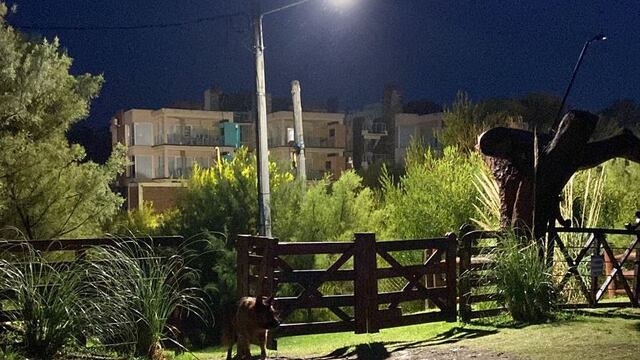 Instalan nuevas luminarias en Pehuen Co