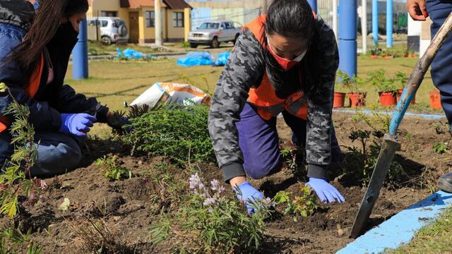 La Dirección de Espacio Público Del Municipio continúa con trabajos de acondicionamiento en distintos sectores de Río Grande.