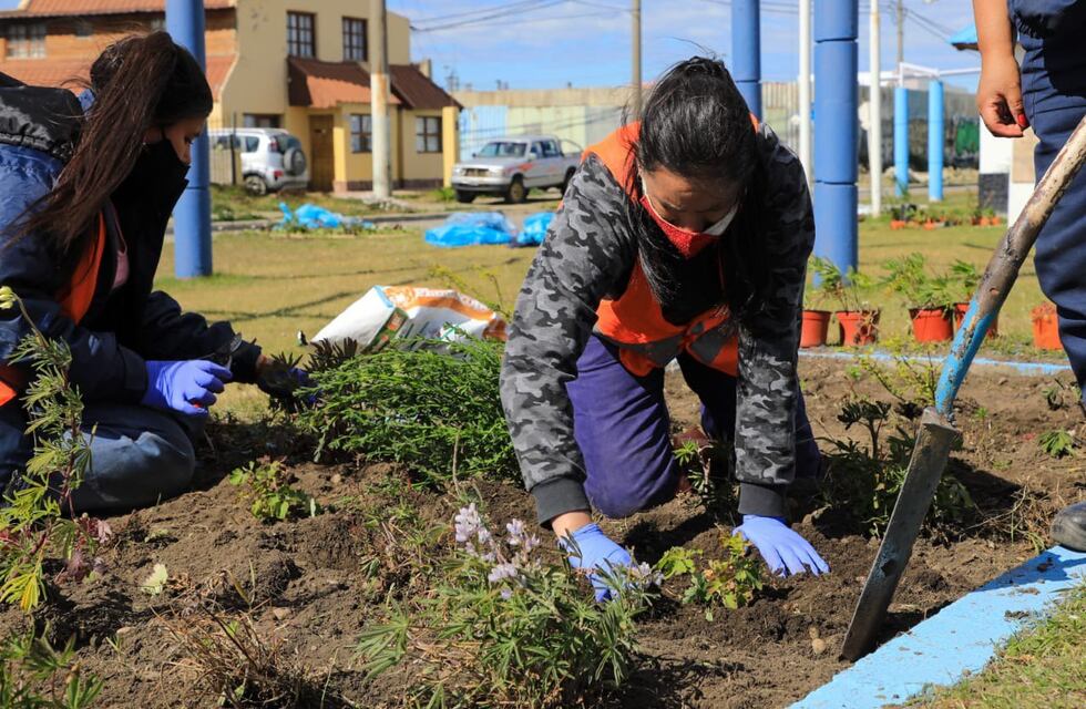 Embelleciendo los espacios públicos de la ciudad