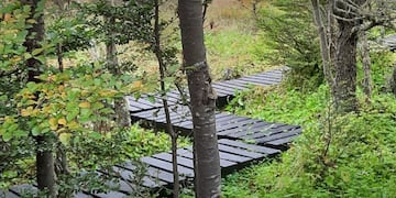Ushuaia: invitan a conocer el  Jardín Botánico del Cerro Bonete