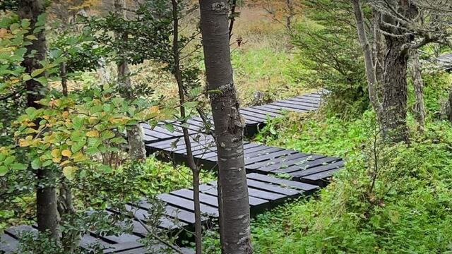 Ushuaia: invitan a conocer el  Jardín Botánico del Cerro Bonete