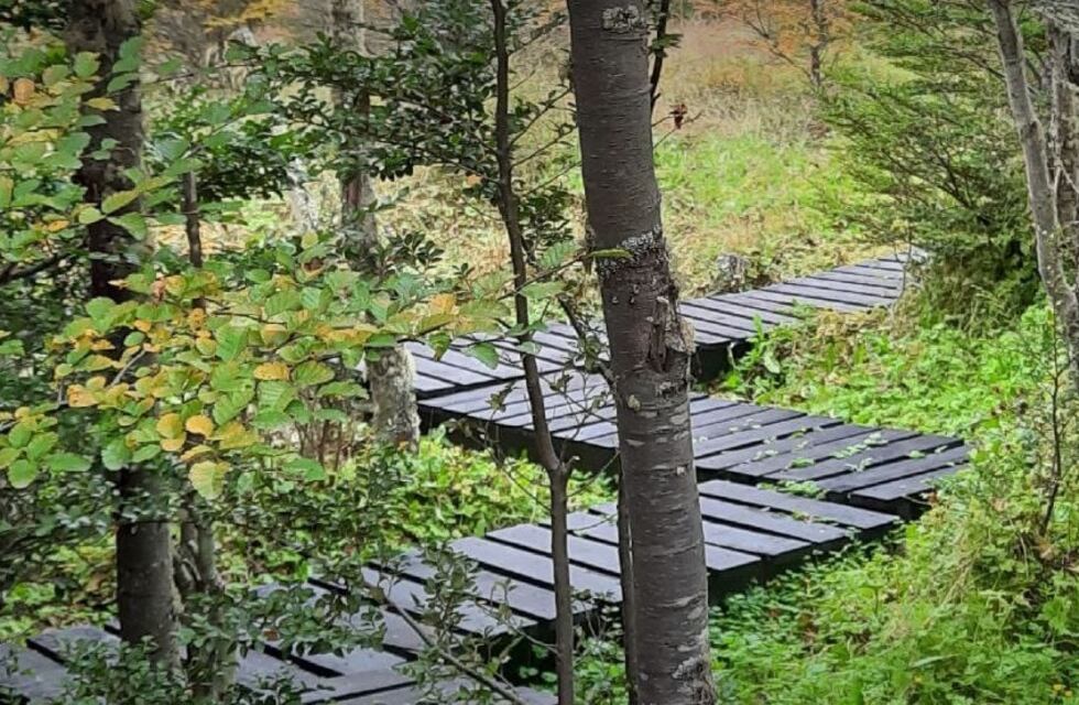 La Fiesta de la “Noche Más Larga” ofrecerá visita nocturna al Jardín Botánico