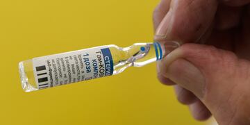 Sputnik V
 Foto: Orlando Pelichotti / Los Andes