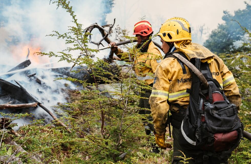 Por qué se generan incendios forestales y cómo se los combate