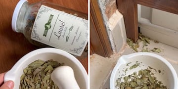 Por qué se recomienda colocar una hoja de laurel detrás de la puerta.