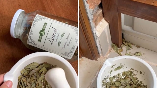 Por qué se recomienda colocar una hoja de laurel detrás de la puerta.