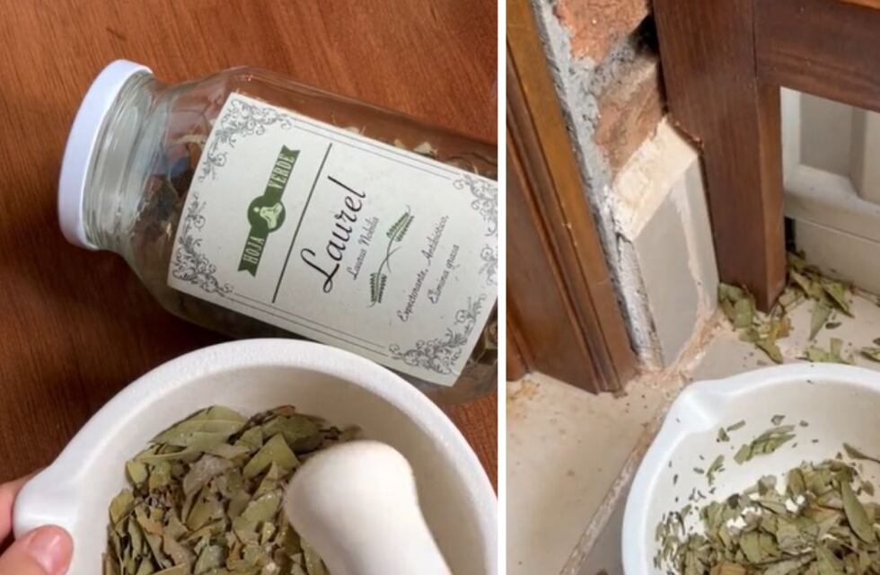 Por qué se recomienda colocar una hoja de laurel detrás de la puerta
