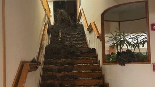 Alud en Bariloche: hay tres víctimas fatales (Captura de video).