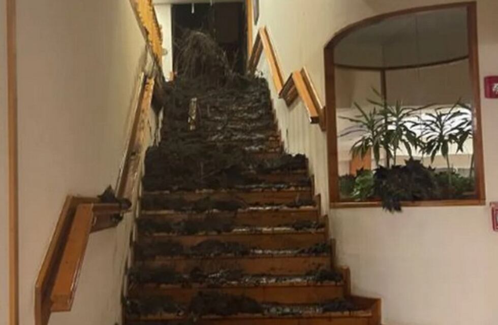 Desde la Asociación Árbol de Pie afirman que la tragedia del hotel de Bariloche “se podría haber evitado”