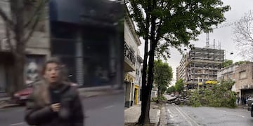 La movilera casi termina aplastada por el ejemplar