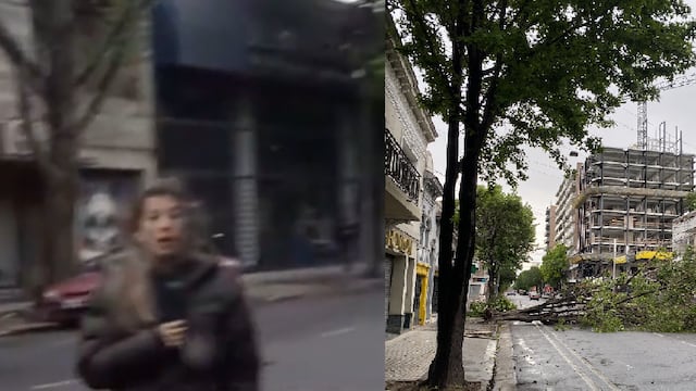 La movilera casi termina aplastada por el ejemplar