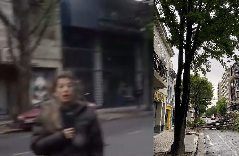 Peligroso momento en Rosario: un árbol cayó muy cerca de una periodista mientras hacía un móvil