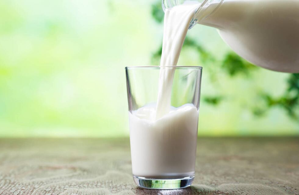 Día Mundial de la Leche: cuál es la cantidad diaria recomendada y cuánto consumen los argentinos