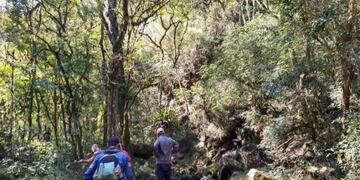 Se realizará en San Antonio un evento deportivo en honor a los excombatientes de Malvinas denominado “Héroes”.