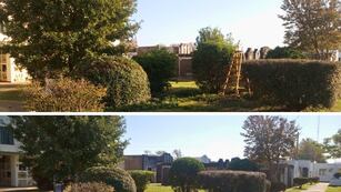 Trabajos de jardinería en el Cementerio Municipal