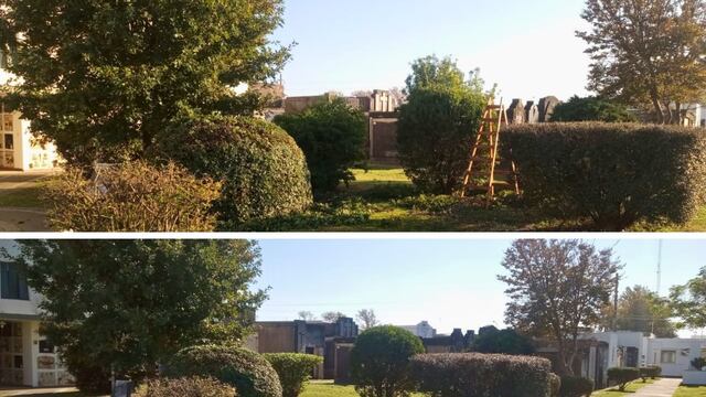 Trabajos de jardinería en el Cementerio Municipal