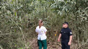 Restos calcinados en Bernardo de Irigoyen: indicios apuntan a una víctima brasileña.