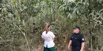 Investigan el hallazgo de restos óseos humanos calcinados en Bernardo de Irigoyen.