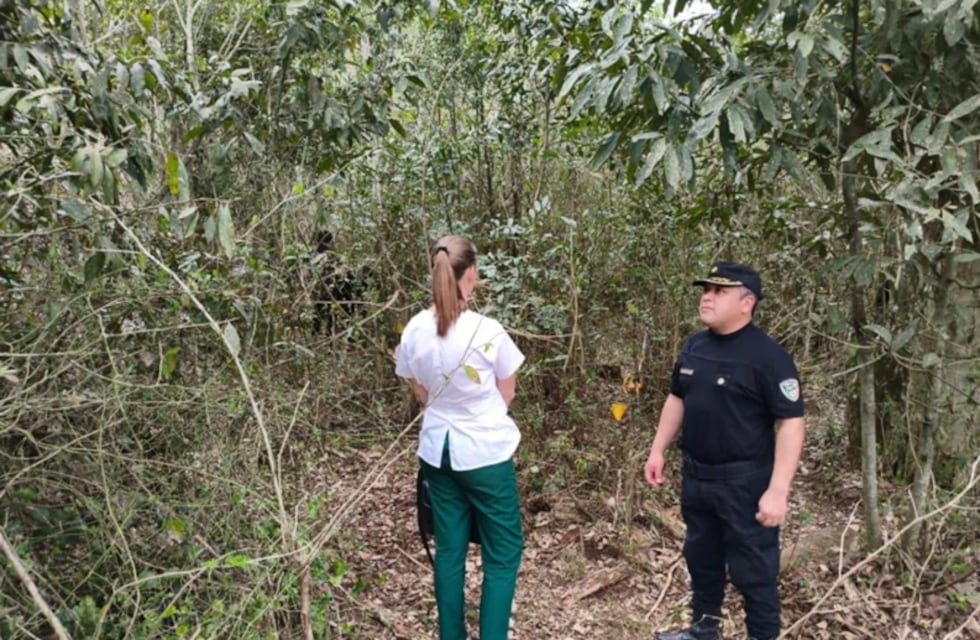 Restos calcinados en Bernardo de Irigoyen: indicios apuntan a una víctima brasileña