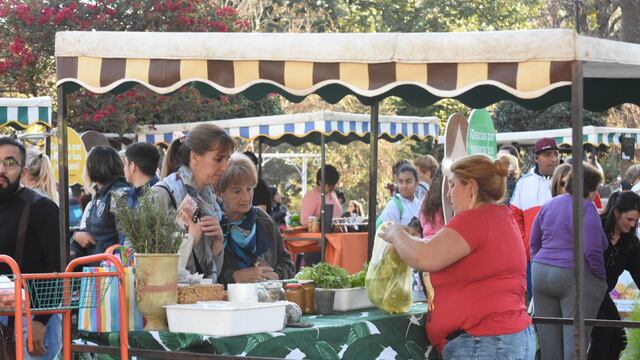 Plaza Feria y Feria "Desde el origen" en la Plaza 25 de Mayo