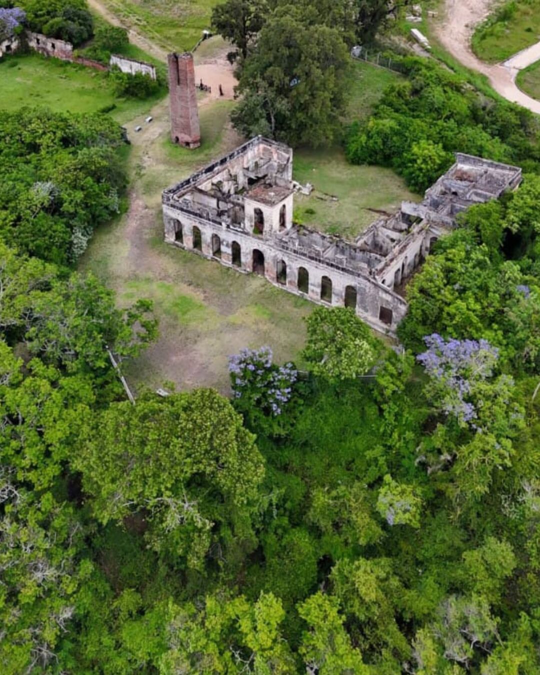 Concordia, destino de verano en Entre Ríos: carnaval, termas, naturaleza y experiencias al aire libre.