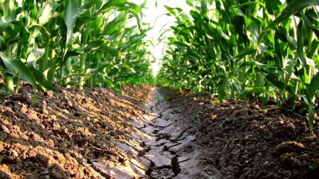 Via Campo
