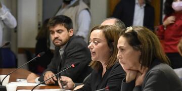 La Comisión de Legislación General, presidida por Cecilia Moreau, emitió tres dictámenes sobre la ley de alquileres (Foto: HCDN)