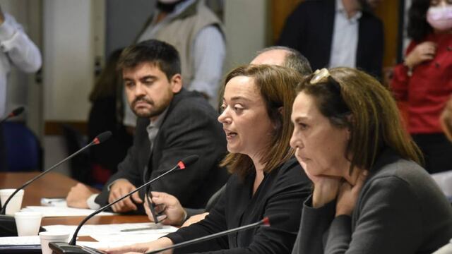 La Comisión de Legislación General, presidida por Cecilia Moreau, emitió tres dictámenes sobre la ley de alquileres (Foto: HCDN)