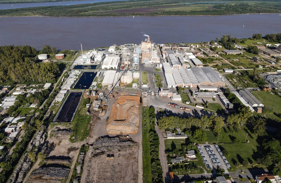 Crisis en Celulosa Argentina: paralizó todas sus plantas y enfrenta un pedido de quiebra