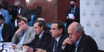 Se realizó un nuevo plenario de las comisiones de Asuntos Constitucionales y Justicia del Senado (Foto: Comunicación Senado)