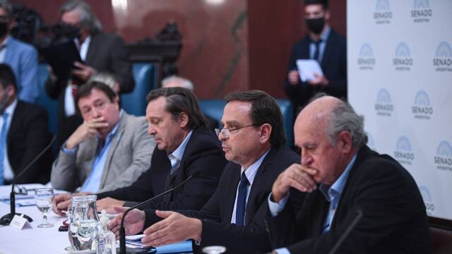 Se realizó un nuevo plenario de las comisiones de Asuntos Constitucionales y Justicia del Senado (Foto: Comunicación Senado)