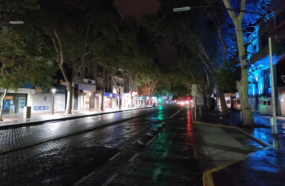 Árboles caídos y viviendas anegadas a causa de la tormenta eléctrica en Mendoza