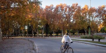 Otoño Mendoza.