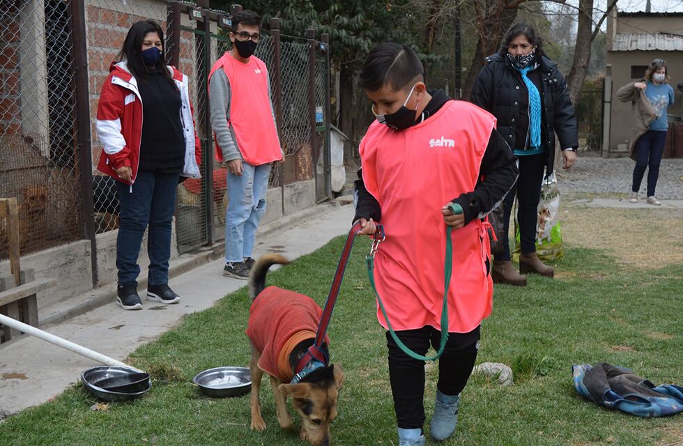 El Centro de Adopciones organiza una procesión con la imagen de San Roque