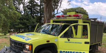 Miembros de la delegación de bomberos de Tandil.